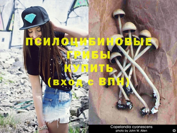 МДПВ Вяземский