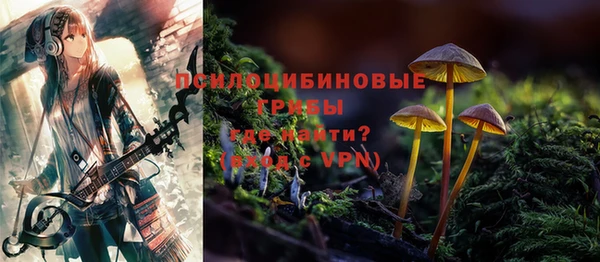 амф Вязьма