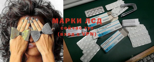 МДПВ Вяземский