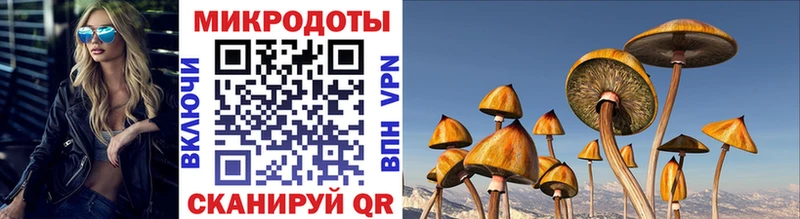 Псилоцибиновые грибы MAGIC MUSHROOMS  дарнет шоп  Долинск 