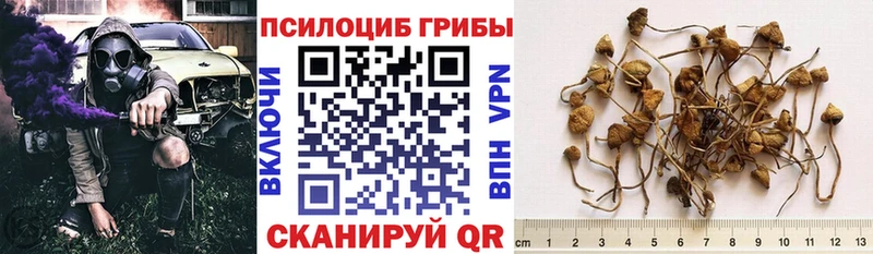 Псилоцибиновые грибы прущие грибы Долинск