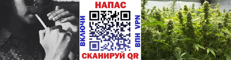 Конопля AK-47 Долинск